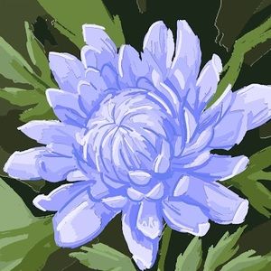 Meet your Posher, Paige